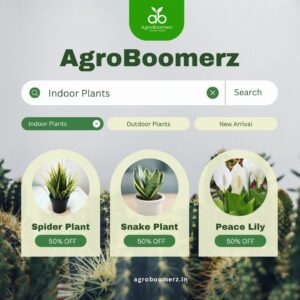 agroboomerz.com 1